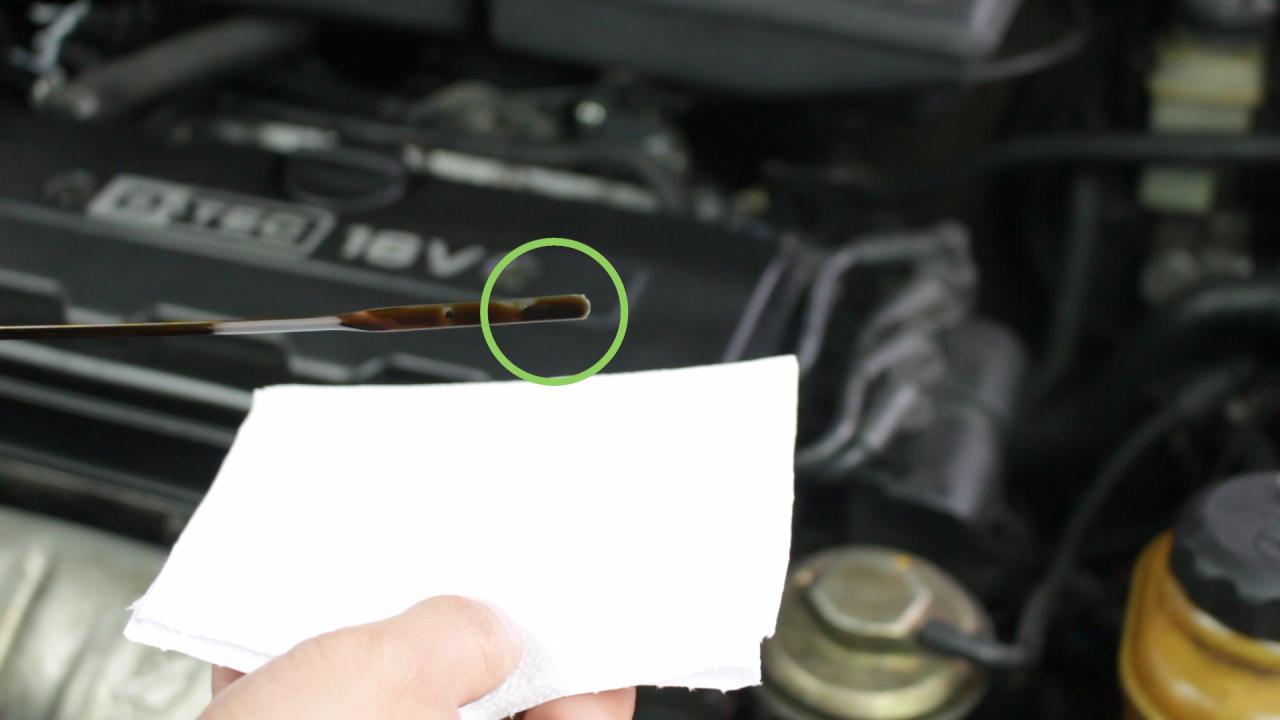 How to Check the Oil in Your Car: 5 Easy Steps How To Check Vehicle Oil Levels And Quality Yourself