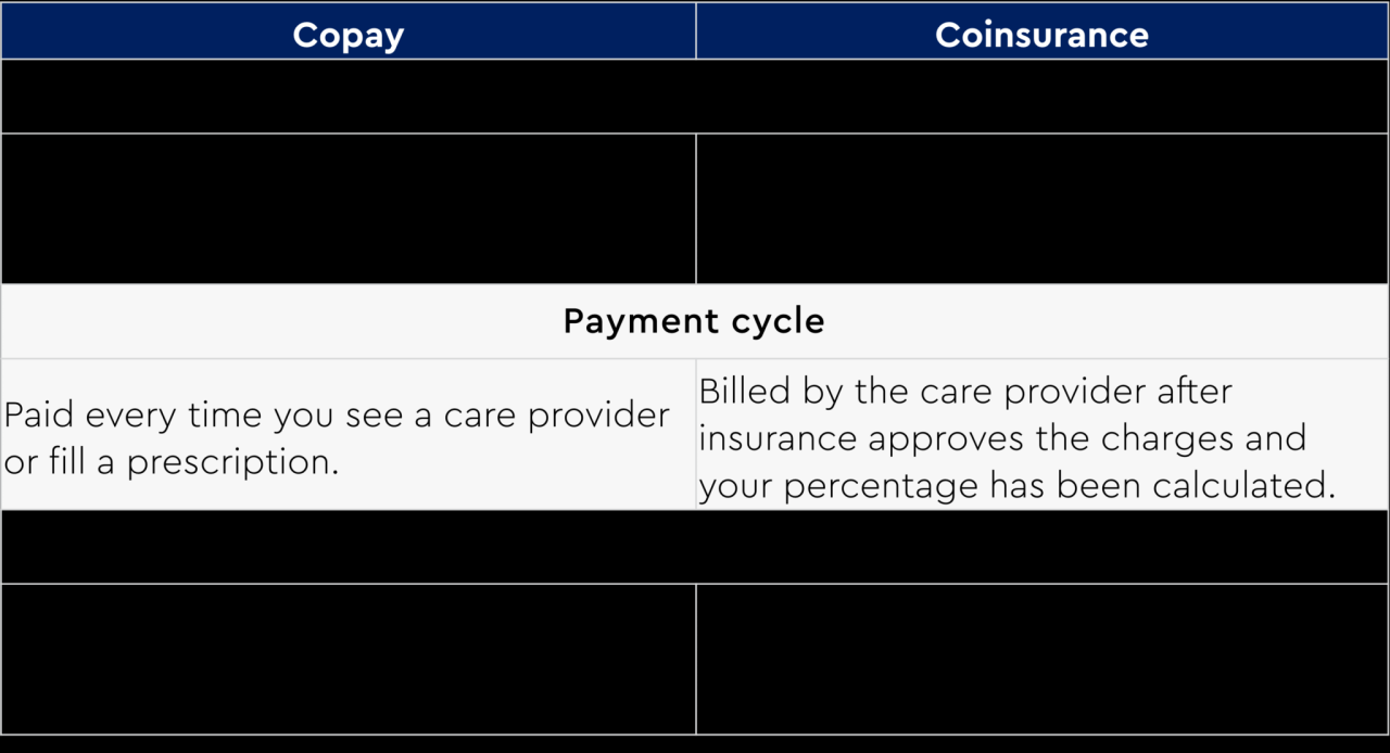 Understanding Health Insurance | PDF
