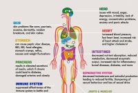 How Does Stress Affect Physical Health Unveiled