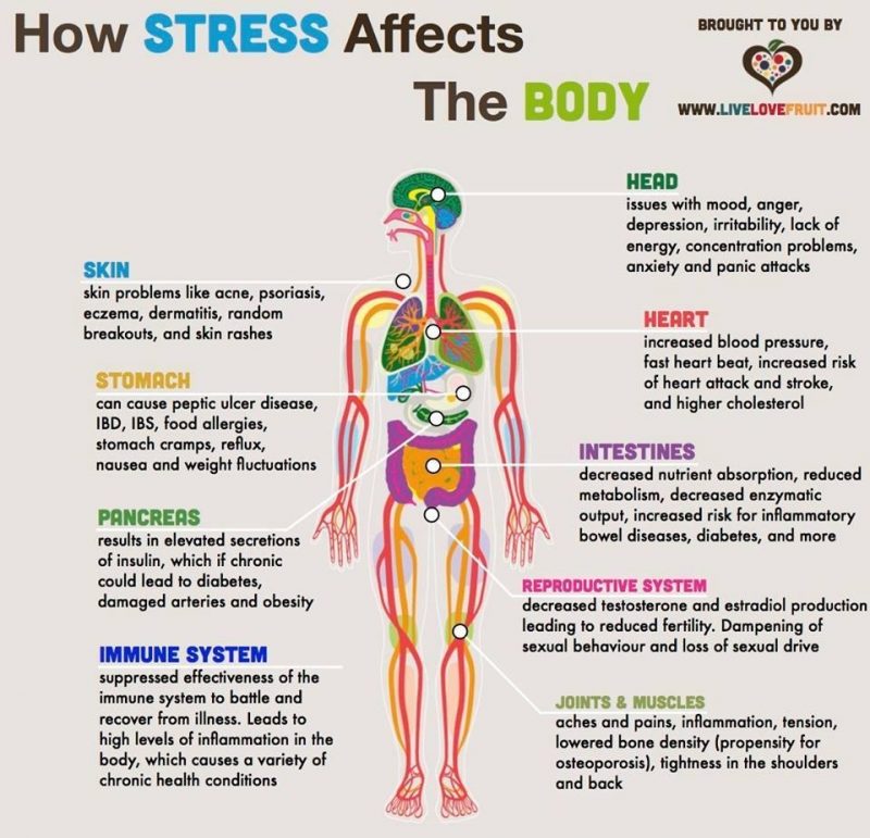 How Does Stress Affect Physical Health Unveiled