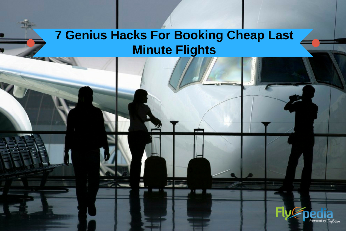 Booking Last-Minute Flights: The Ultimate Guide : r/globaltraveltips Best Practices For Booking Last Minute Flights